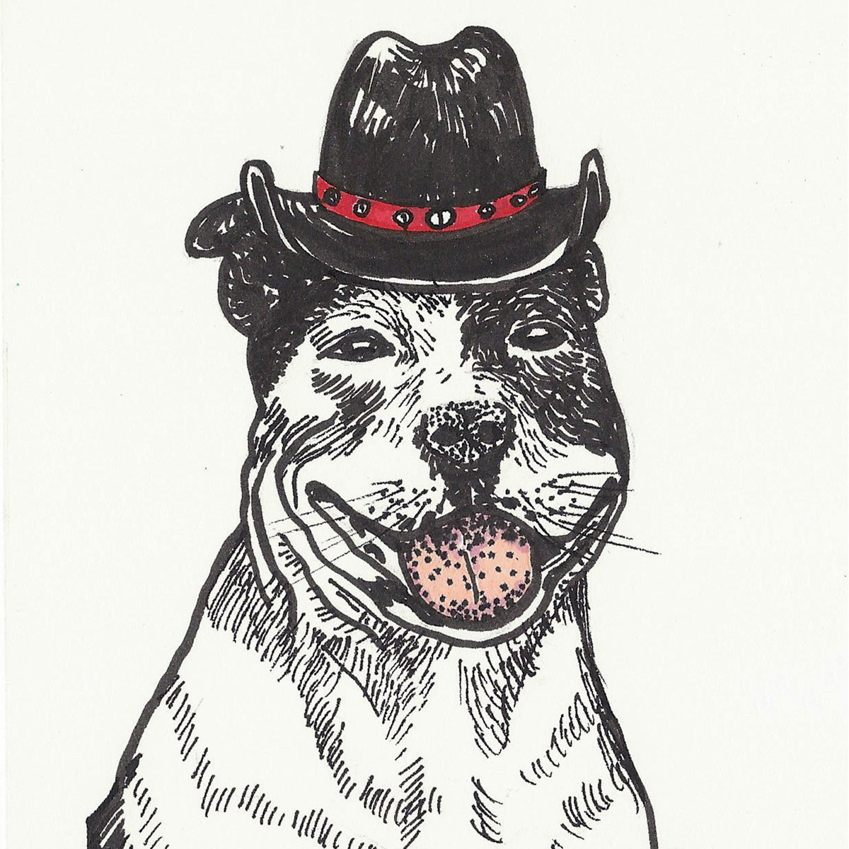 Ink drawing of staffy in a hat - Capricorn Coast Art - Barbara Price Rees
