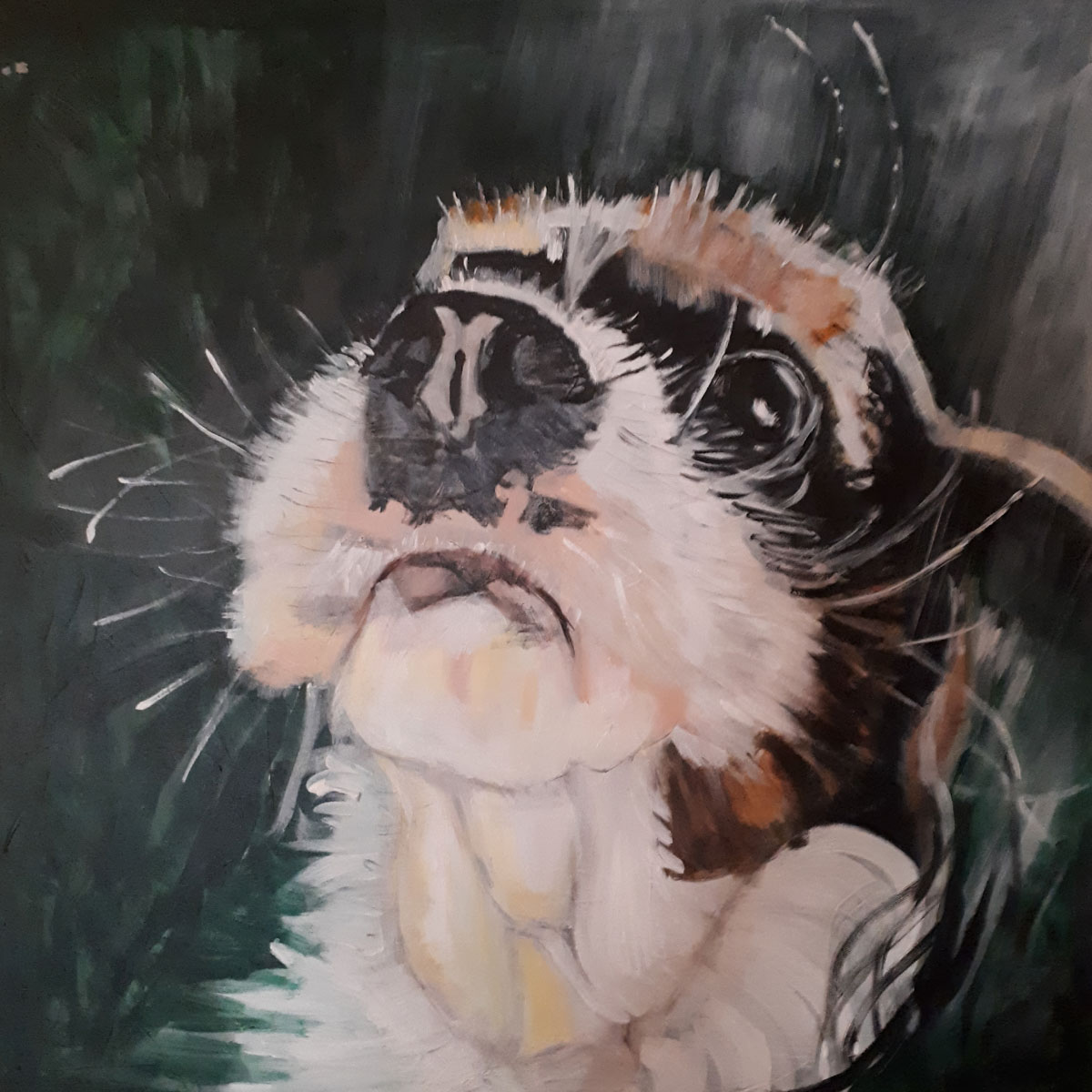 Close up painting of a dog's face - Nancy Liddle Artist
