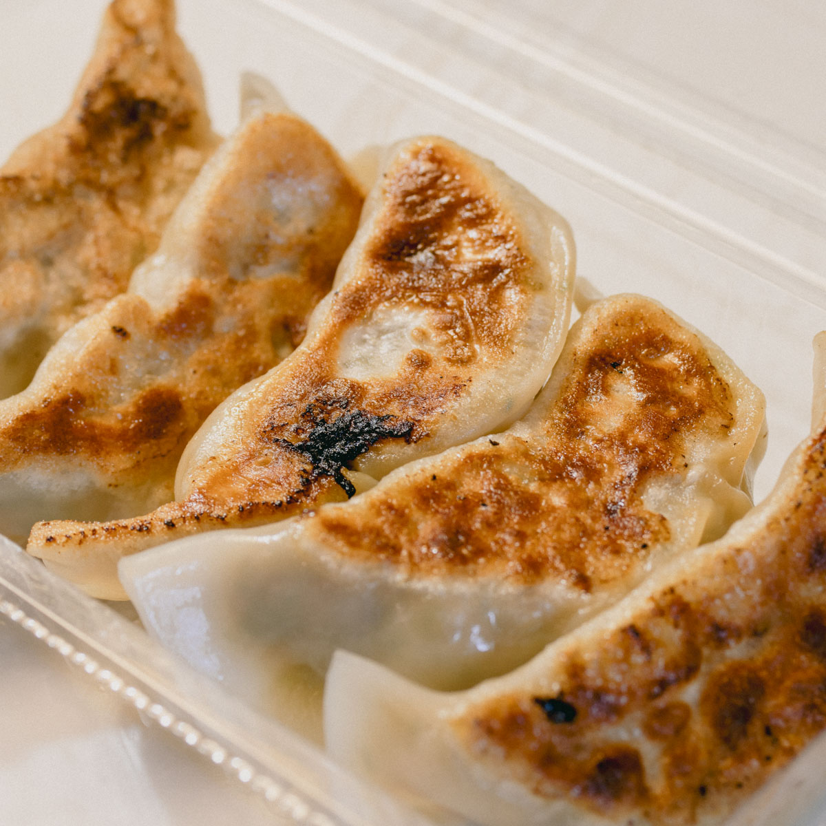Grilled gyoza in a take away tray - Come on Mate! Gourmet Japanese