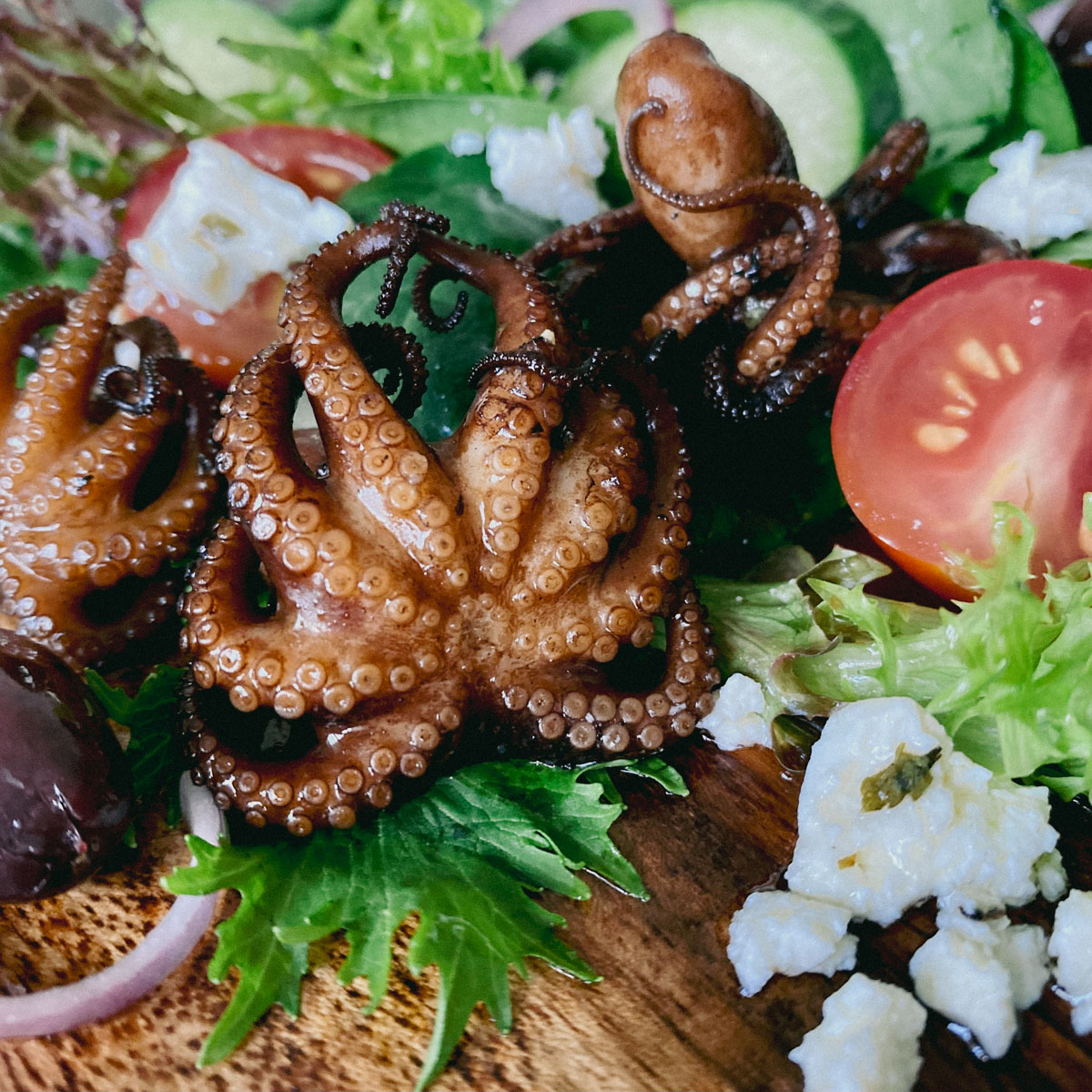 fried octopus in a salad with fetta cheese tomato and lettuce - Pompano Seafood Deli