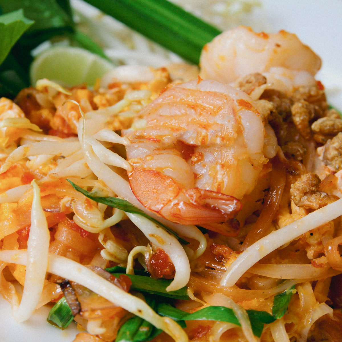 Prawn, shoots, noodles, lime and various ingredients on a plate - The Glory of Thailand
